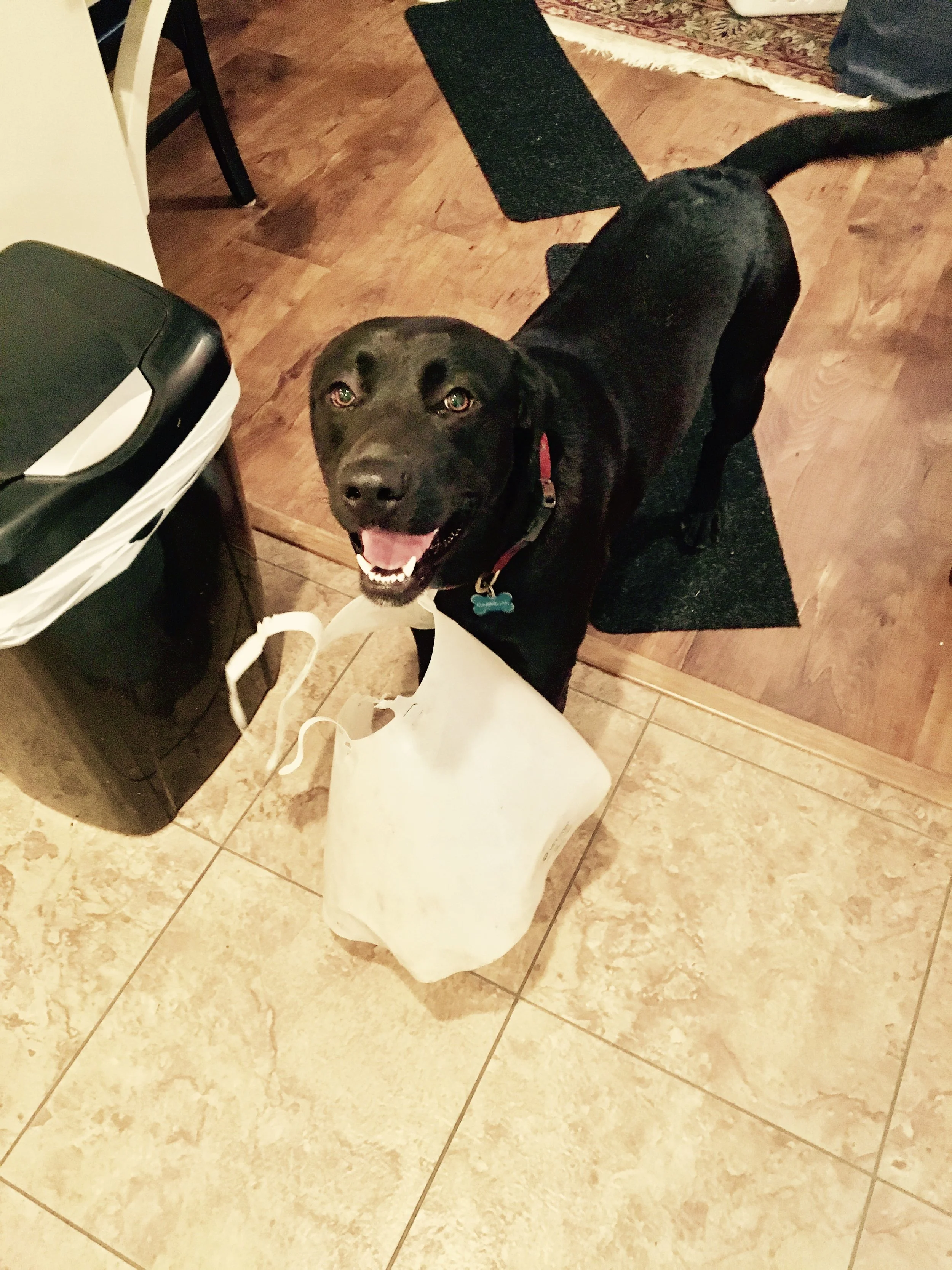 IMG_0910 - Julia Smith.jpg