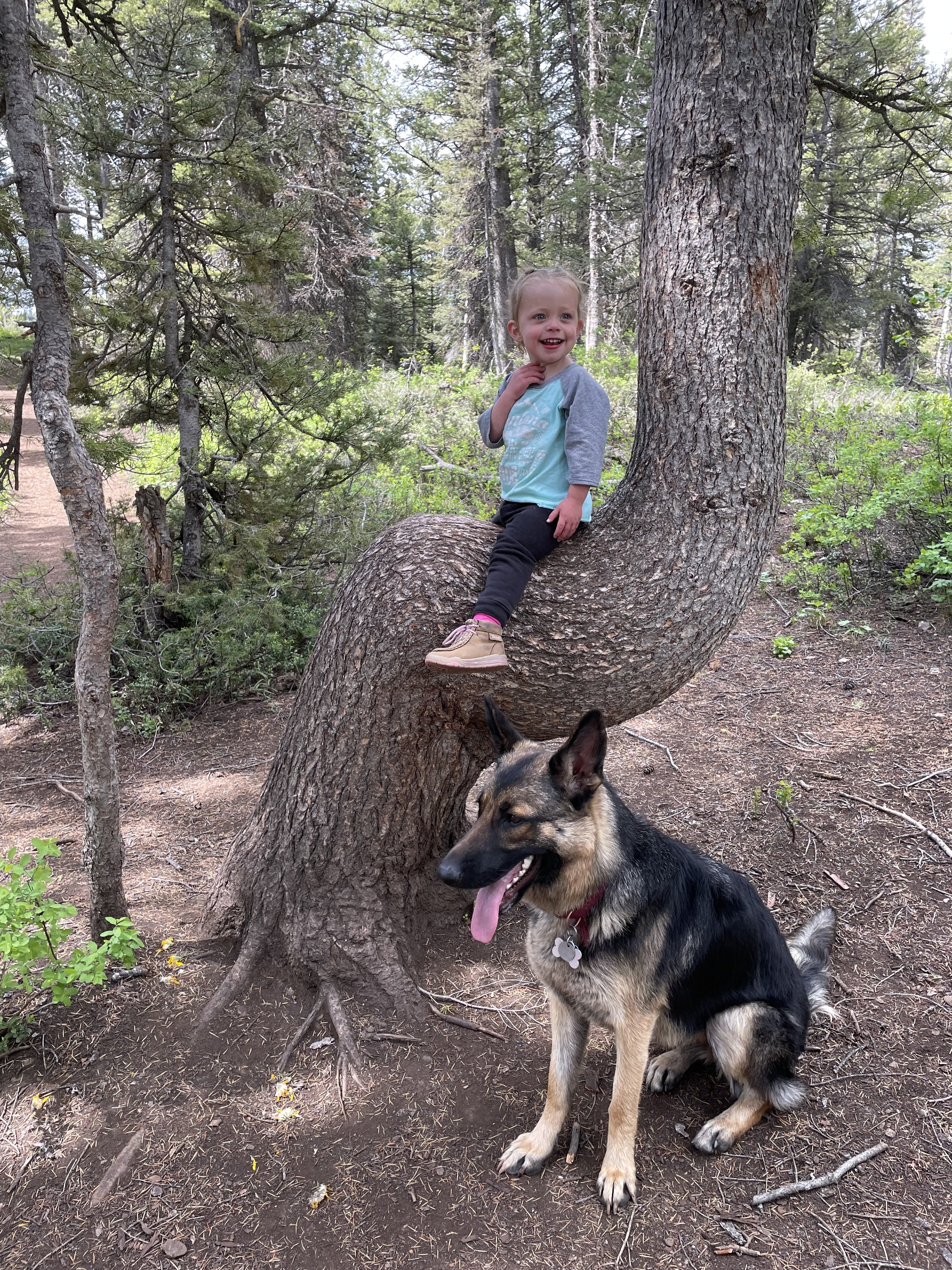 IMG_9997 - Andrew Jones.jpeg