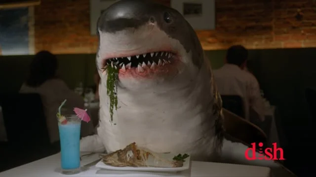 Dish/Shark Week