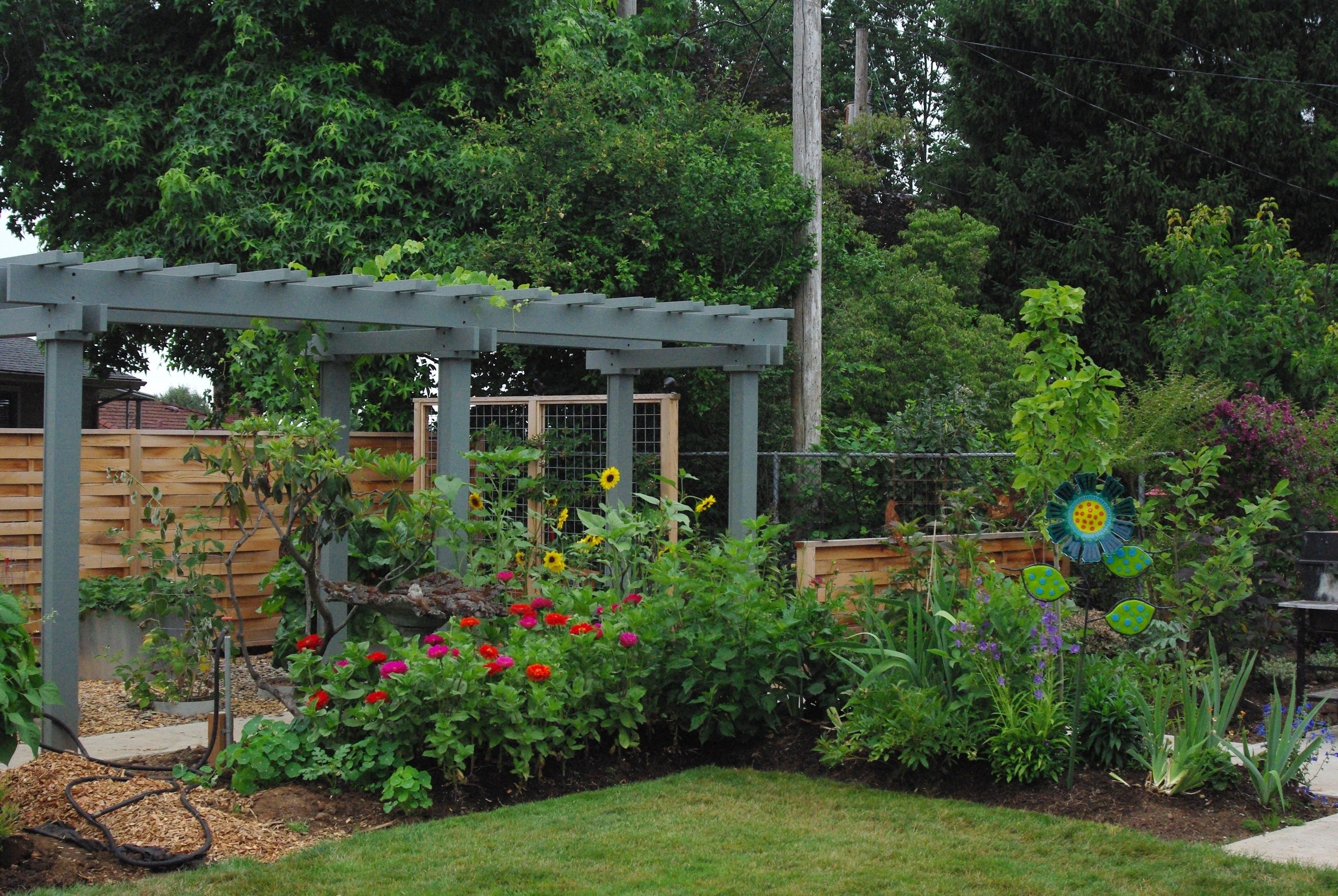Wattle Fence & Pergola