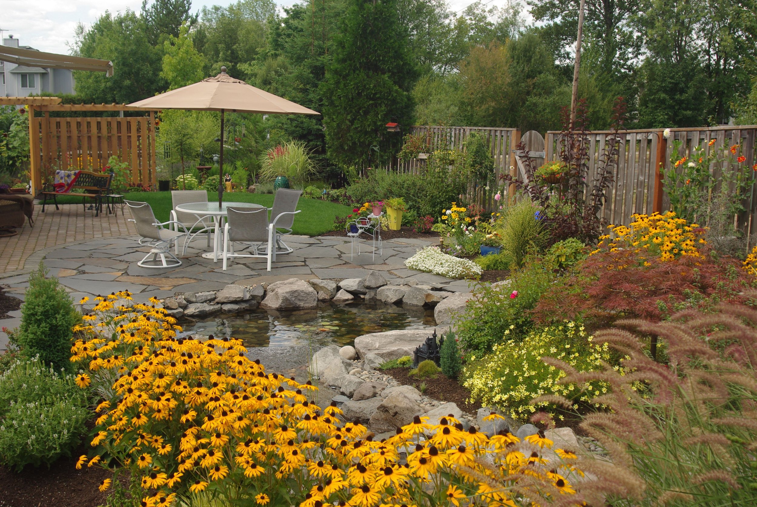Open Pond