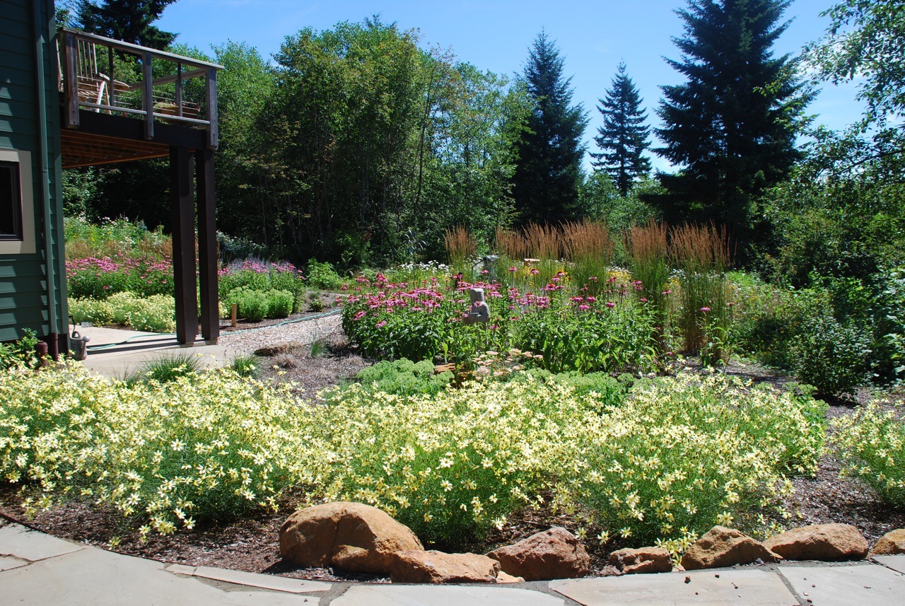 Country House After III. Drought tolerant blooms all summer long. (A touch of Oehme and Van Sweden) 