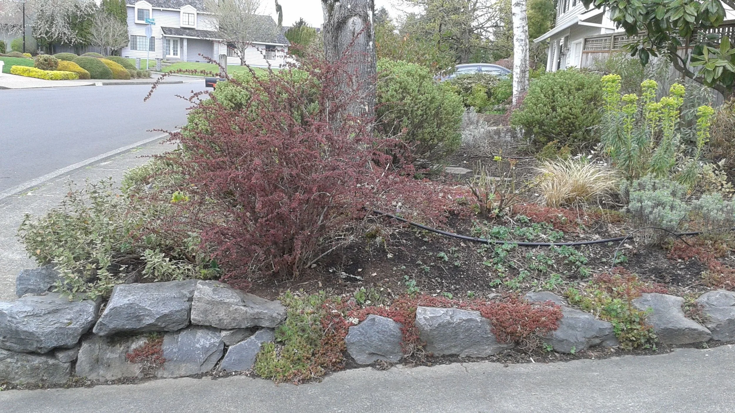 Before , suburban house