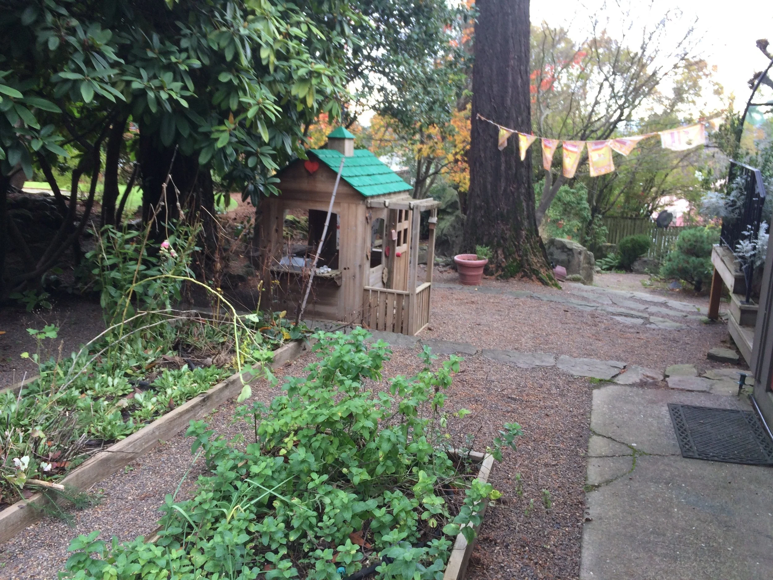Side Yard Before