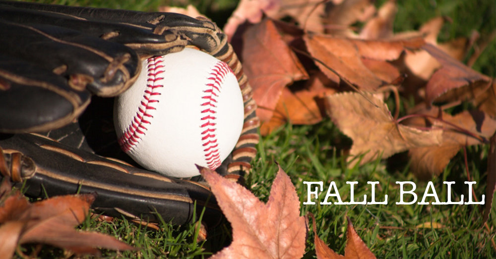 Reasons To Play or Not To Play Fall Baseball Southbat Baseball Wood Bats —  Southbat best wood bats