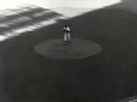 4.gif