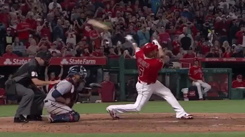 4.gif