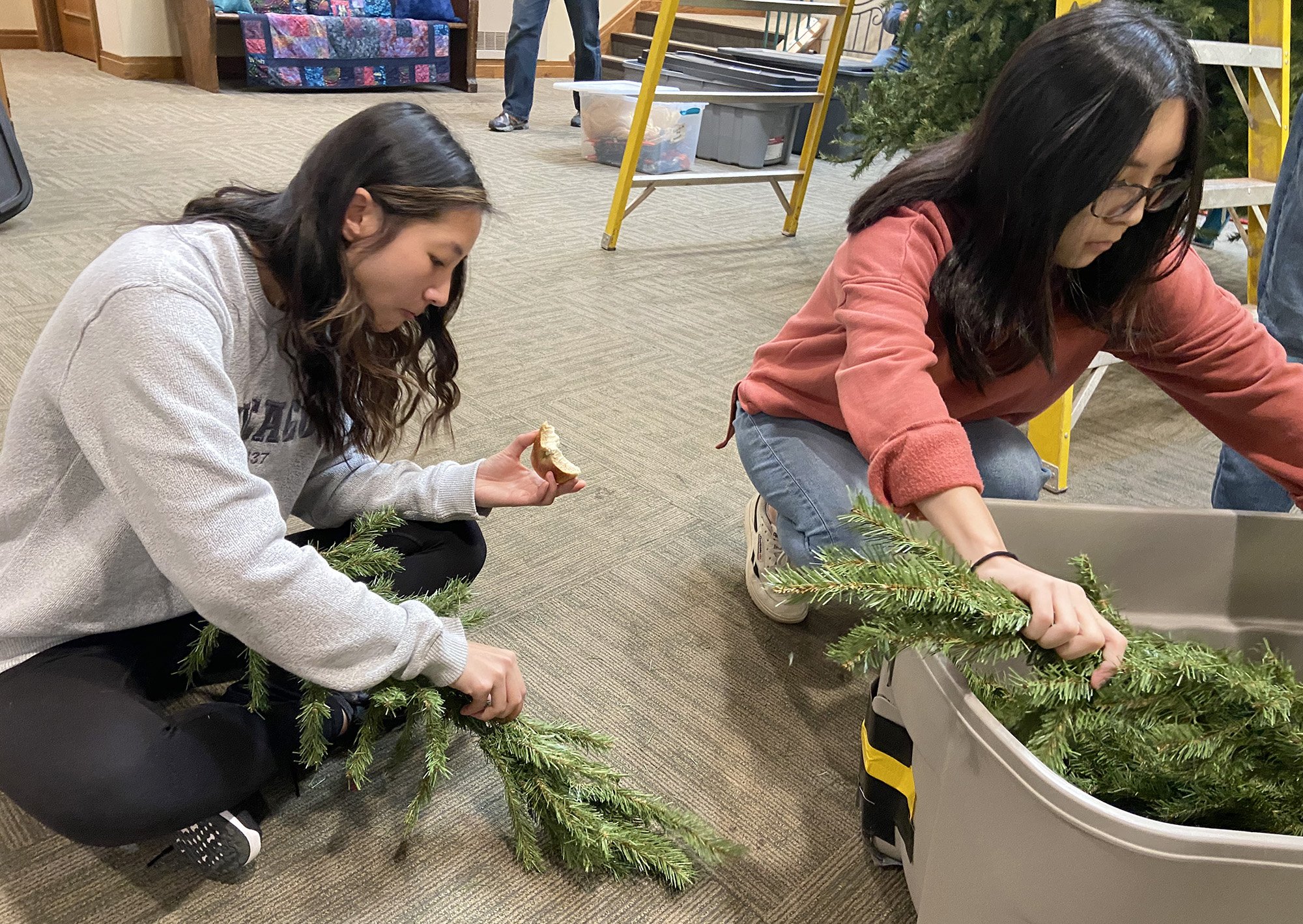 The annual building of our tree