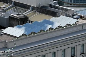 Solar Lights up Auckland Museum