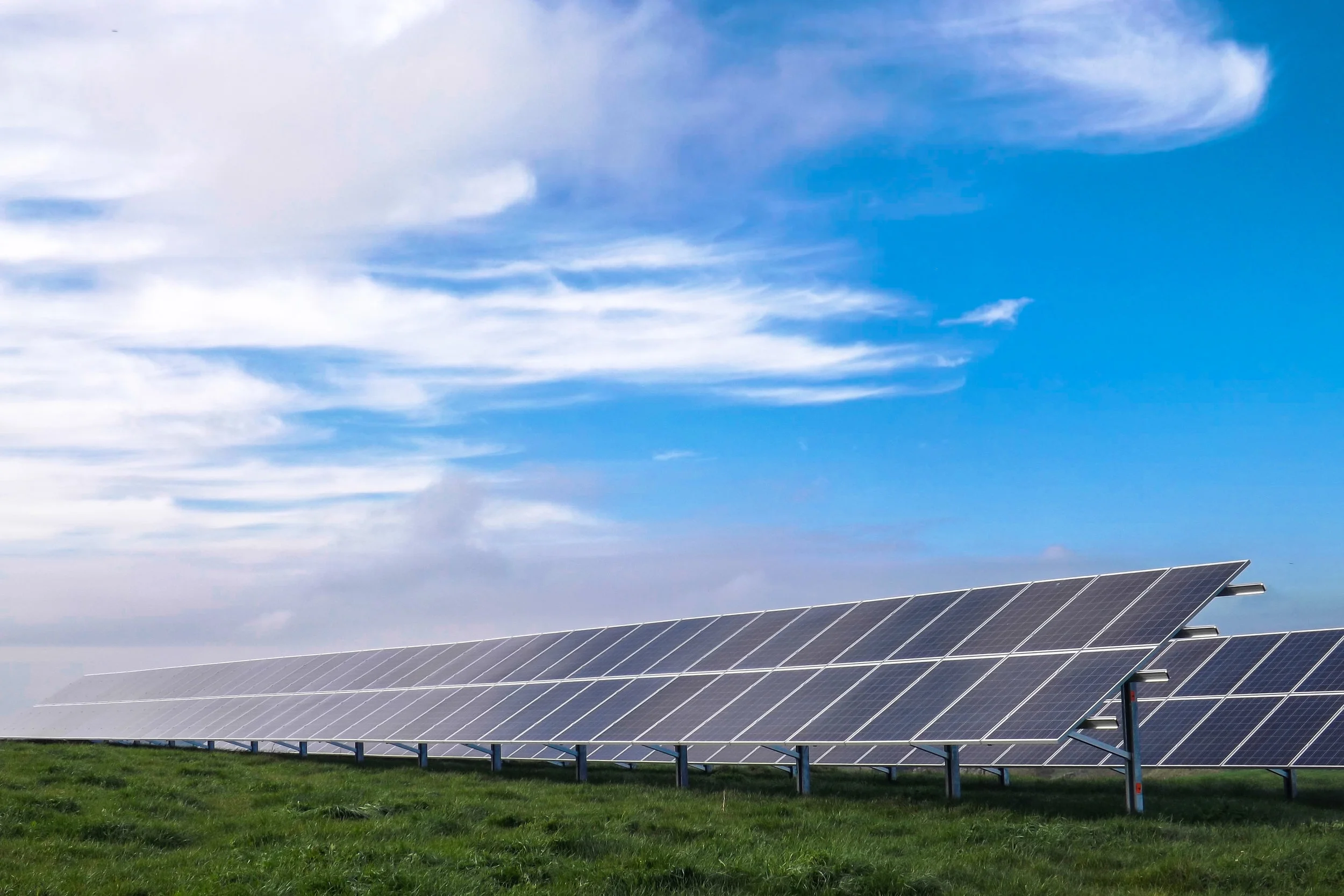 Dairy Farm Reaps the Benefits of Solar