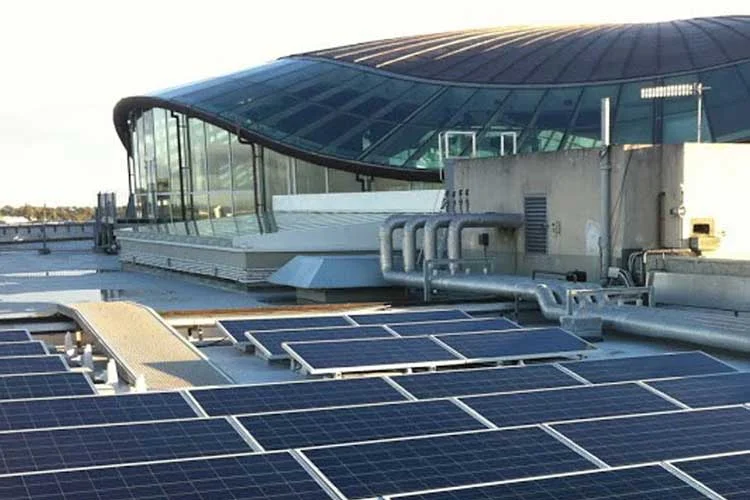 Case Study: Auckland Museum