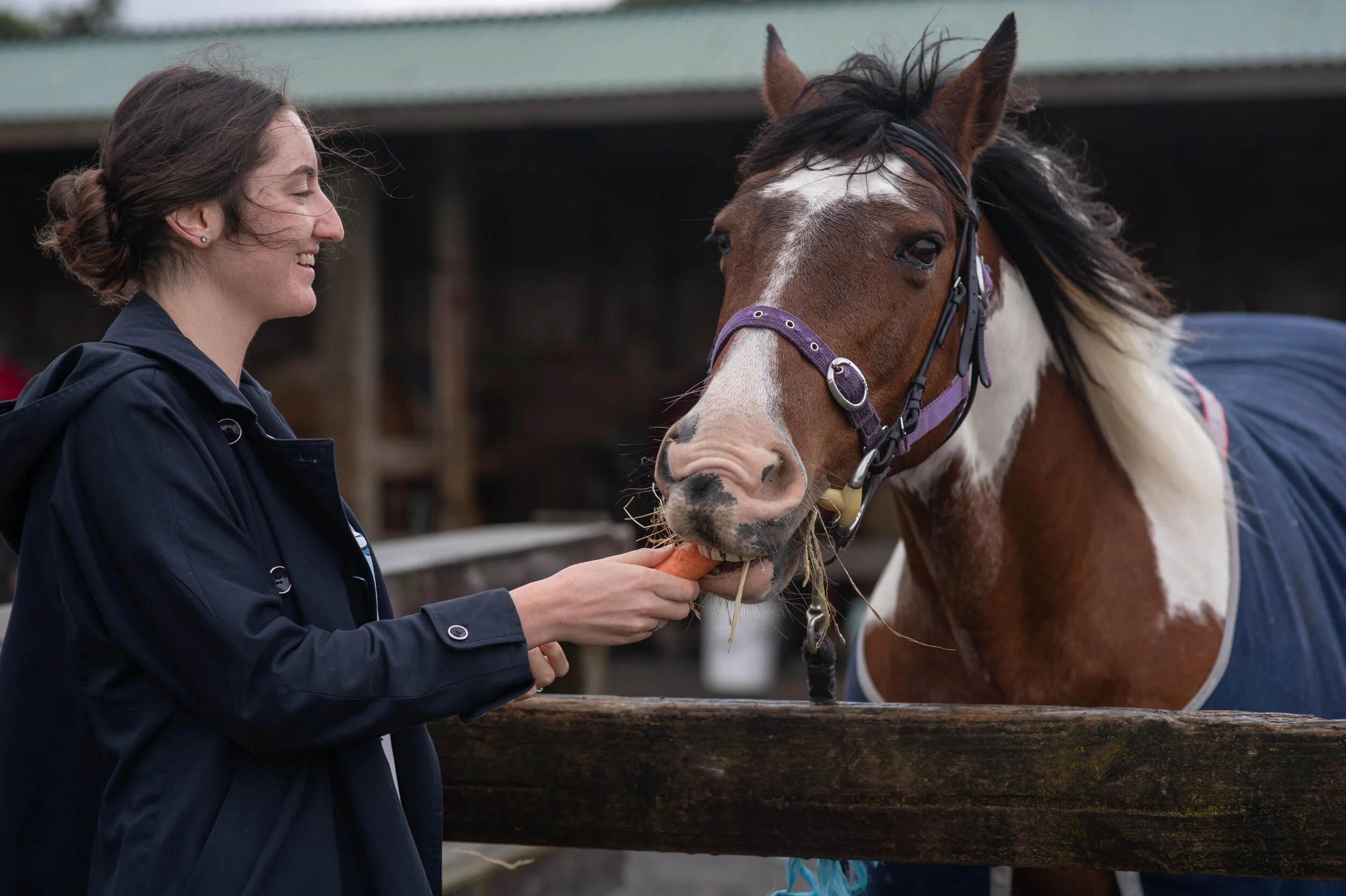 YHI attends Totara Park RDA open morning