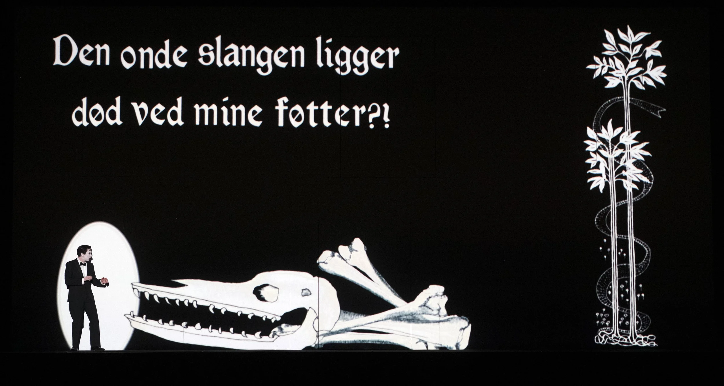  Tamino in The Magic Flute Den Norske Opera Photo by Erik Berg 