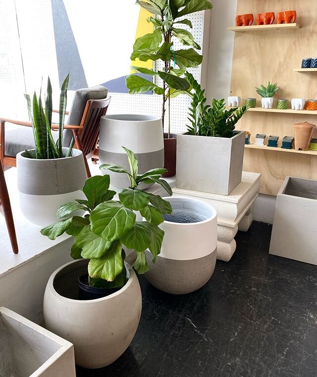 The shop will be open tomorrow from 11-5! we will be posting some new inventory to our stories tonight check out some new goods ! Also We still have a few large and Square planters left for Mother&rsquo;s Day!