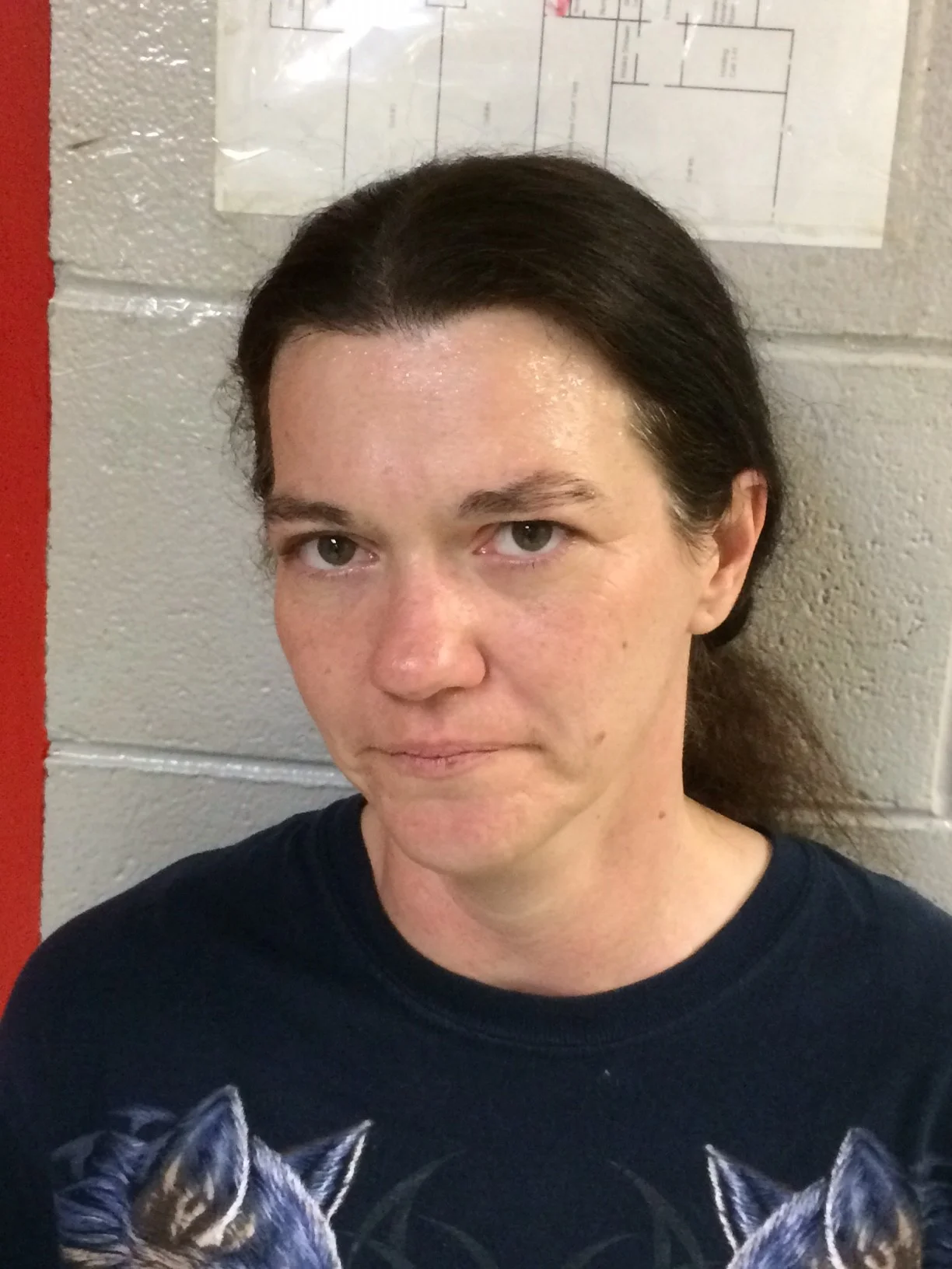 NEWPORT WOMAN INDICTED, ACCUSED OF FILING A FALSE REPORT