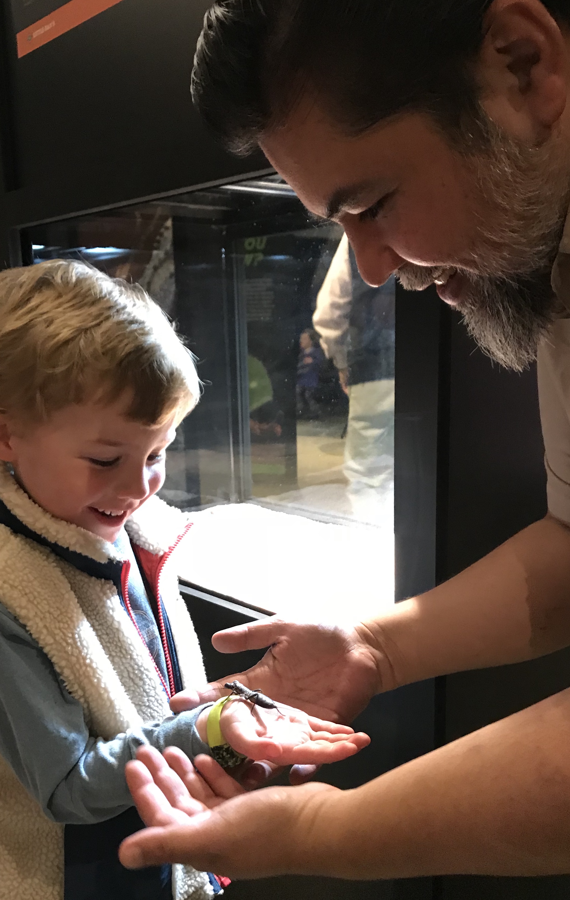 Nature’s Ninjas Featured Exhibition Opens at Discovery Park of America