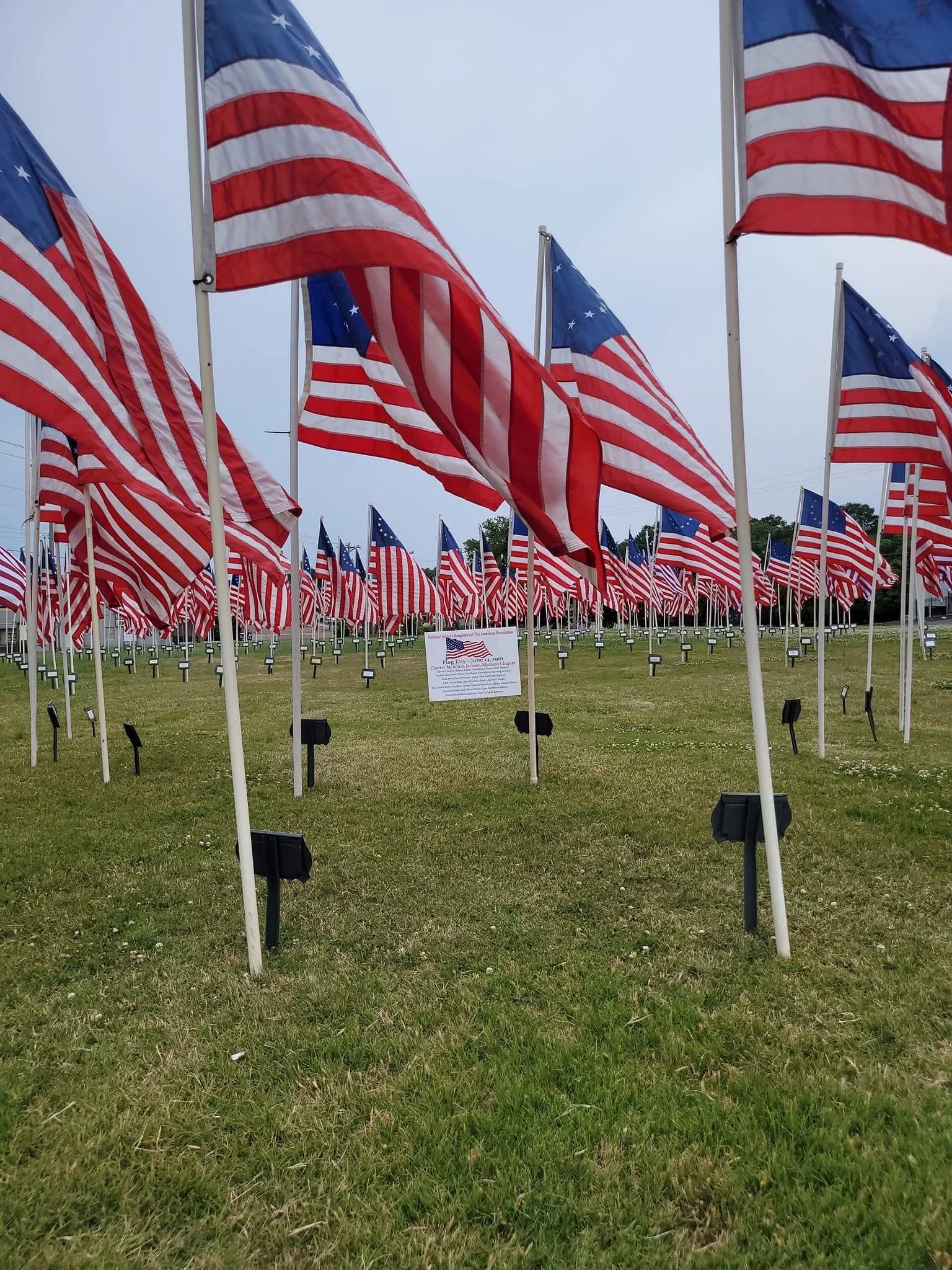 DAR to Install and Dedicate Field of Flags in downtown Jackson