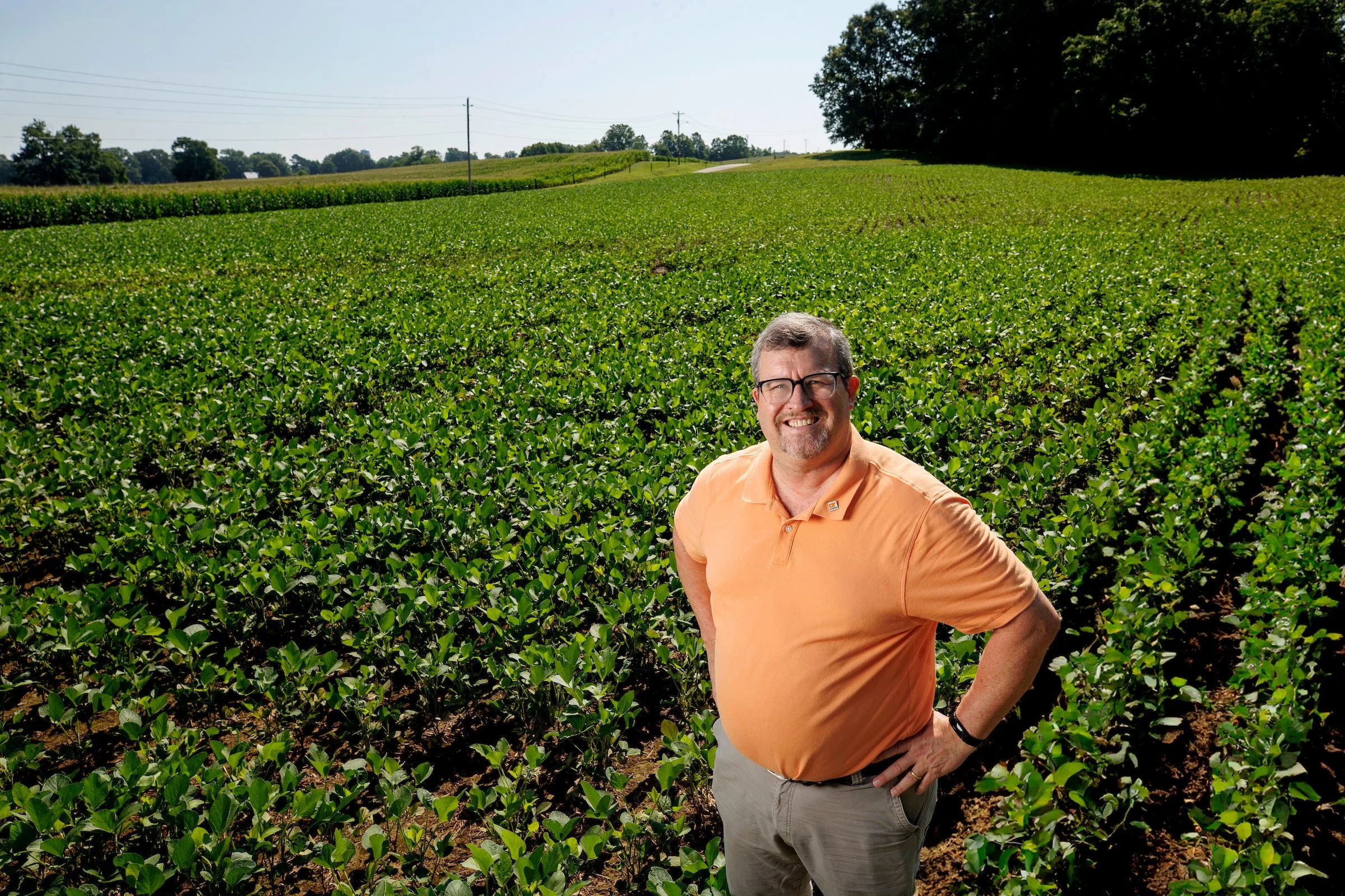 University of Tennessee at Martin, Vol State announce partnership to provide a pathway to bachelor’s degree in Springfield, TN