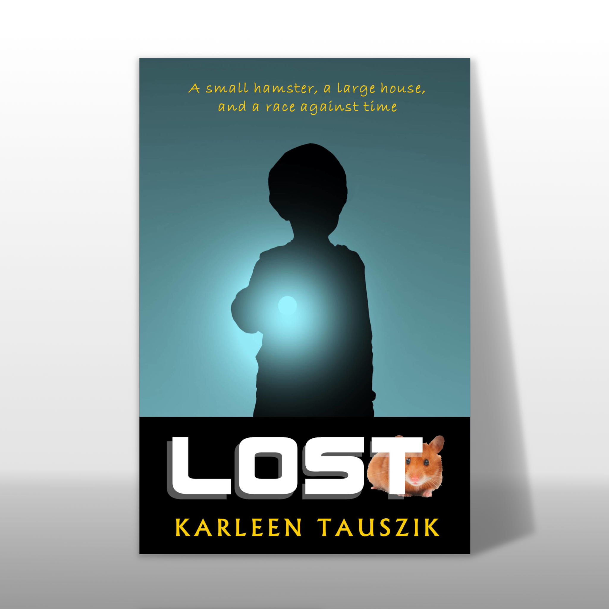 Lost book for kids ages 8 to 12 middle grade readers a present-day story about a missing hamster and a boy’s imaginative ways and struggles to find it.