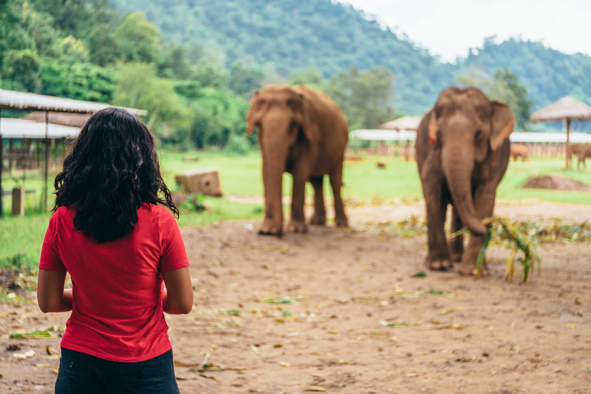 Chiang Mai Elephant Nature Park-6.jpg