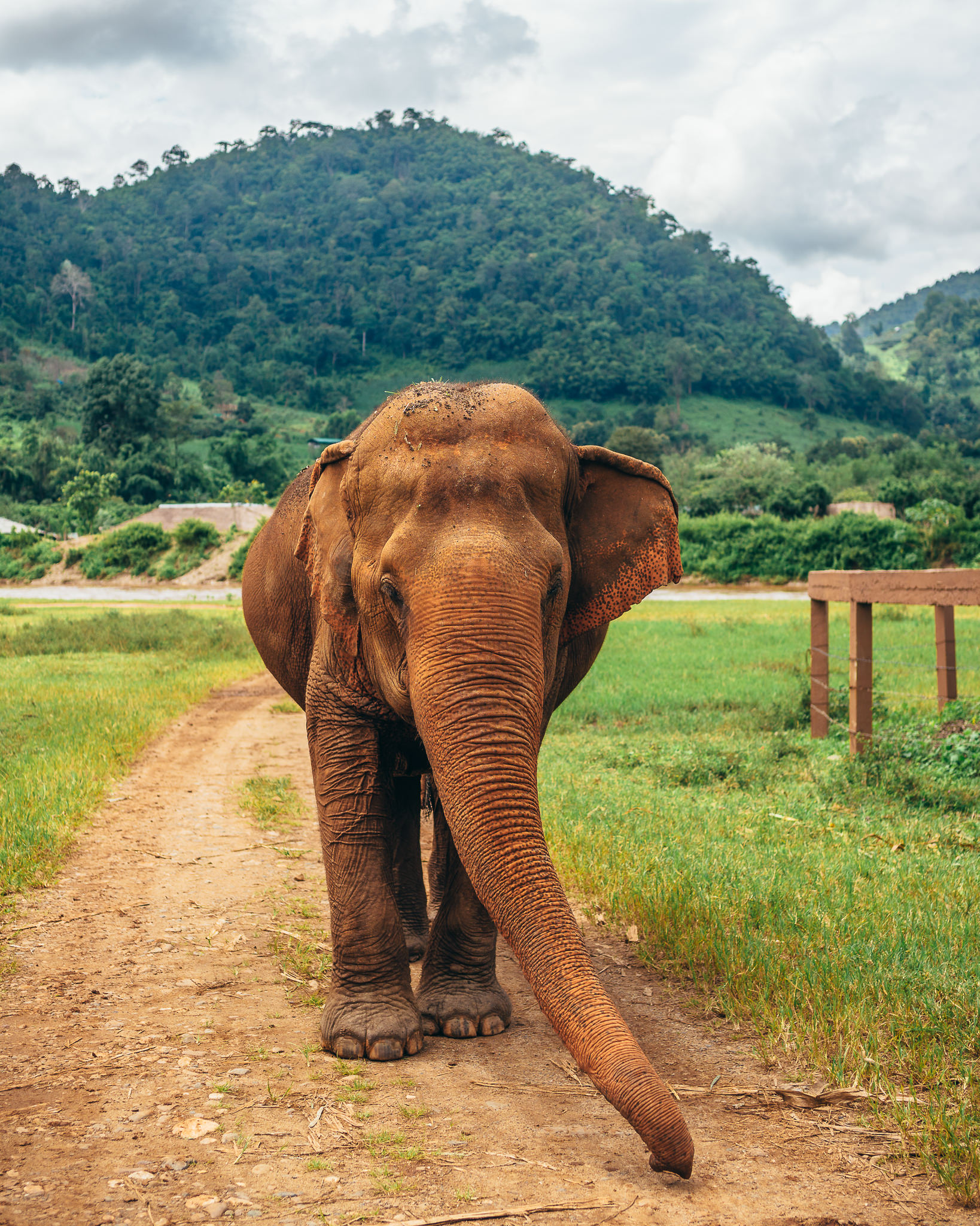 Chiang Mai Elephant Nature Park-14.jpg
