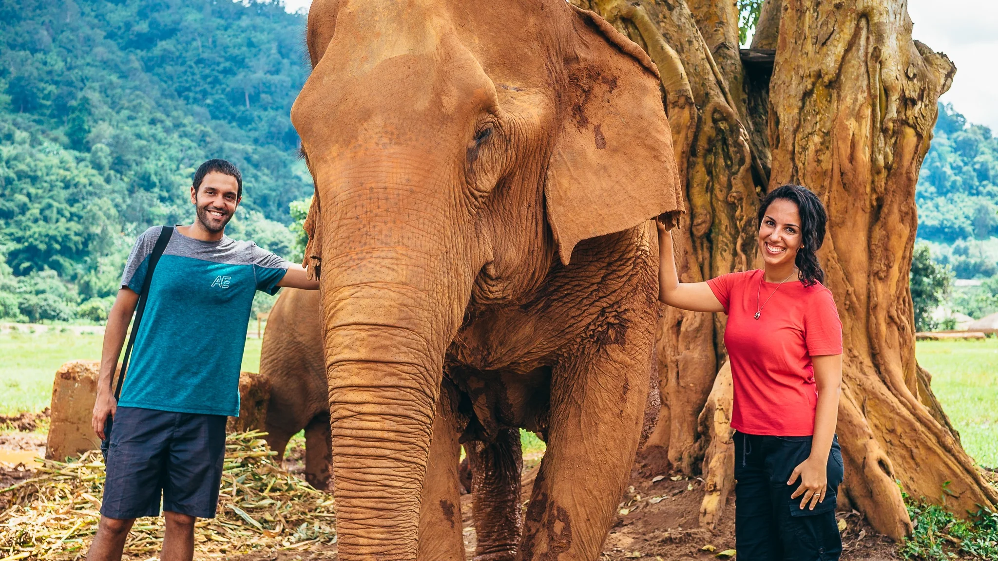 We made friends with a few elephants while in Thailand at the Elephant Nature Park, an animal rescue and rehabilitation center in Chiang Mai, Thailand. Below is one of the things that we enjoyed most in Thailand: the food.