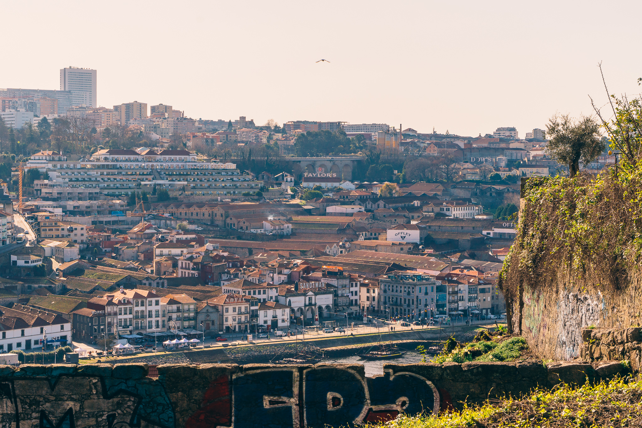 Porto Walking Tour-10.jpg