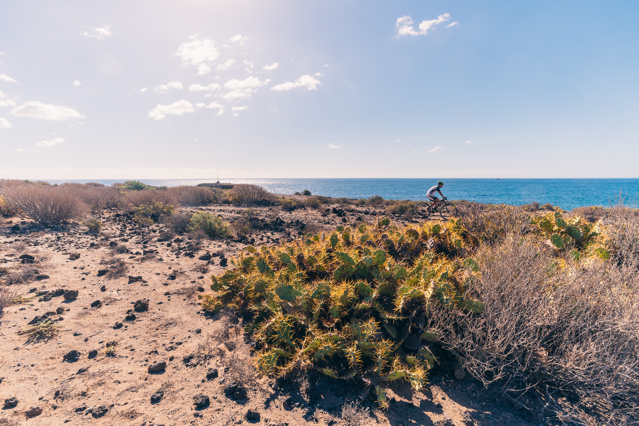 La Tejita Beach – What to do in Tenerife-6.jpg