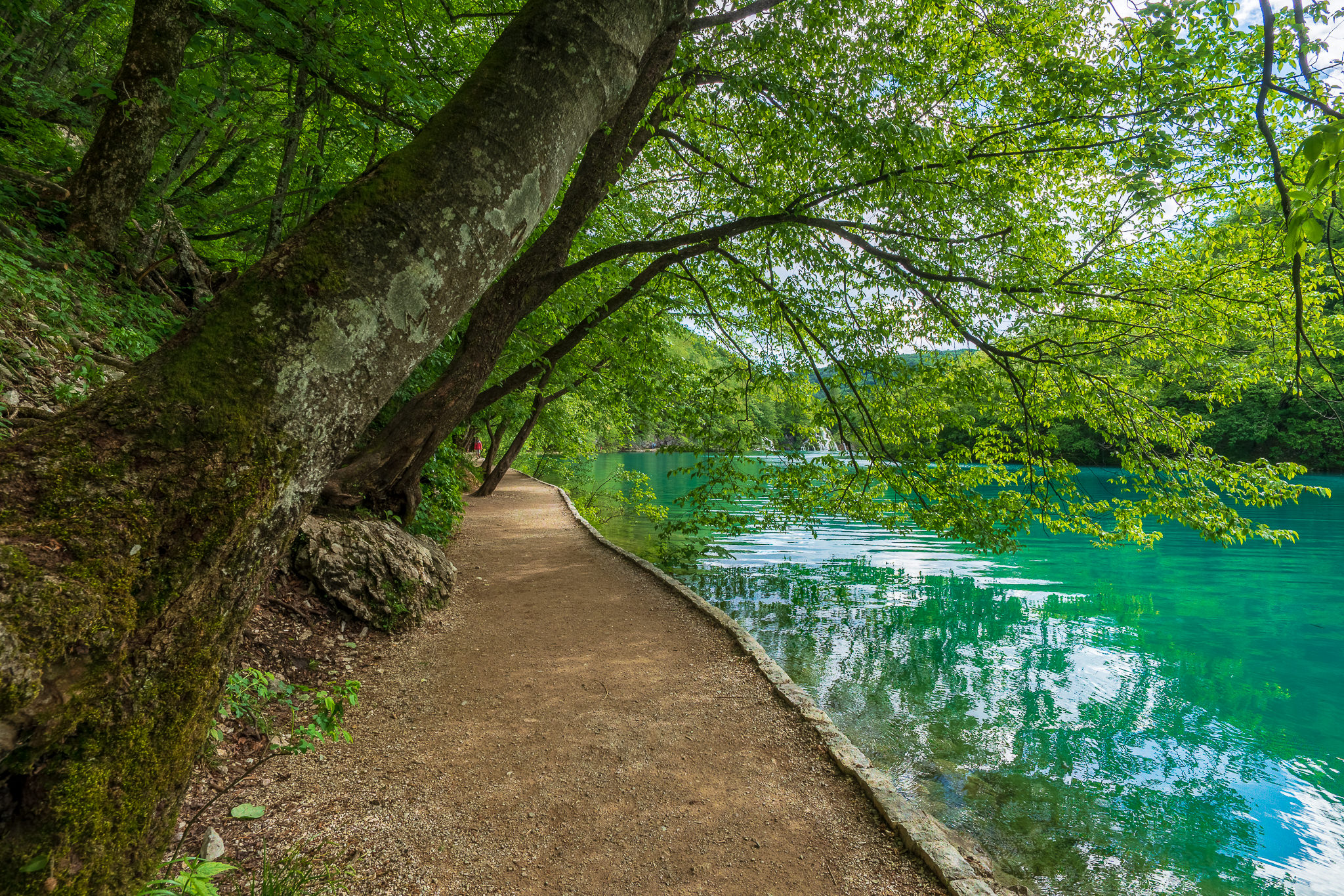 A Week in Croatia — Plitvice-6.jpg