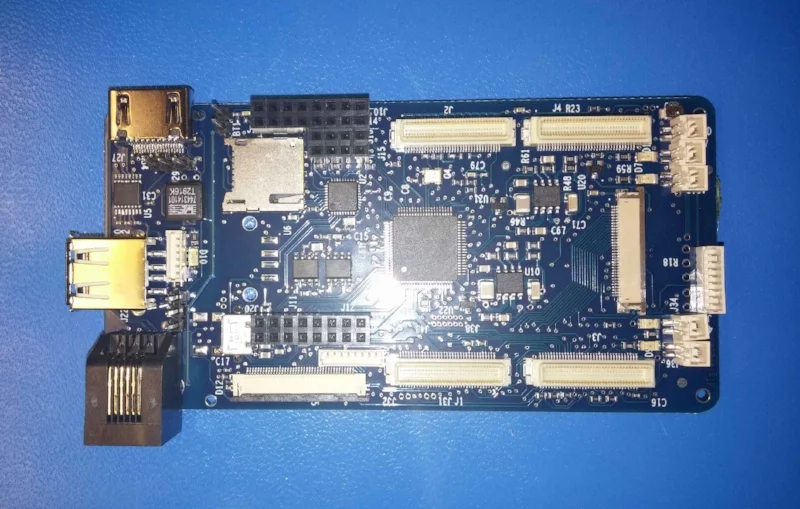 Digit's Brains 11.jpg