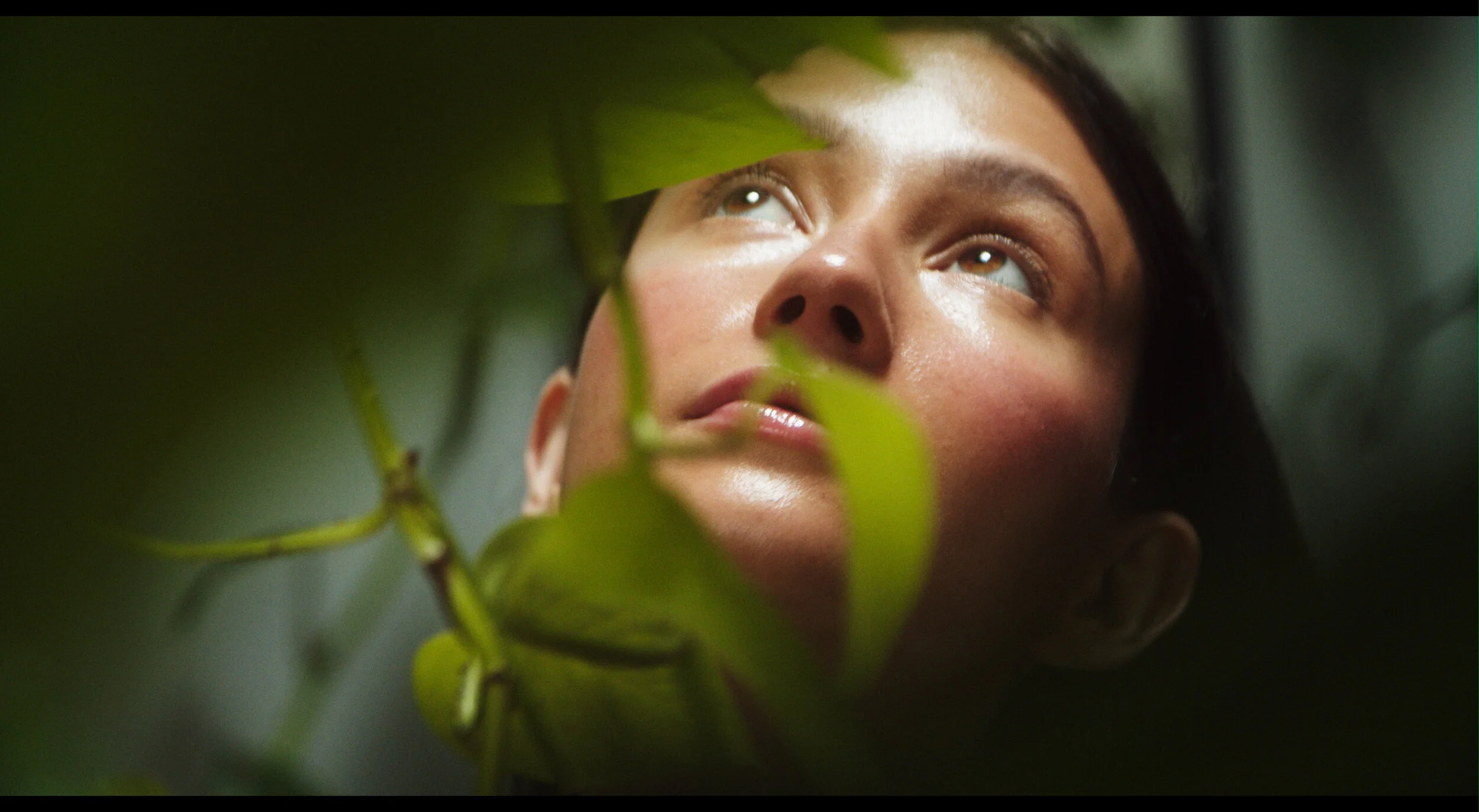 GREENVINES DC PRORES 422 HQ.mov.00_00_20_04.Still003.jpg