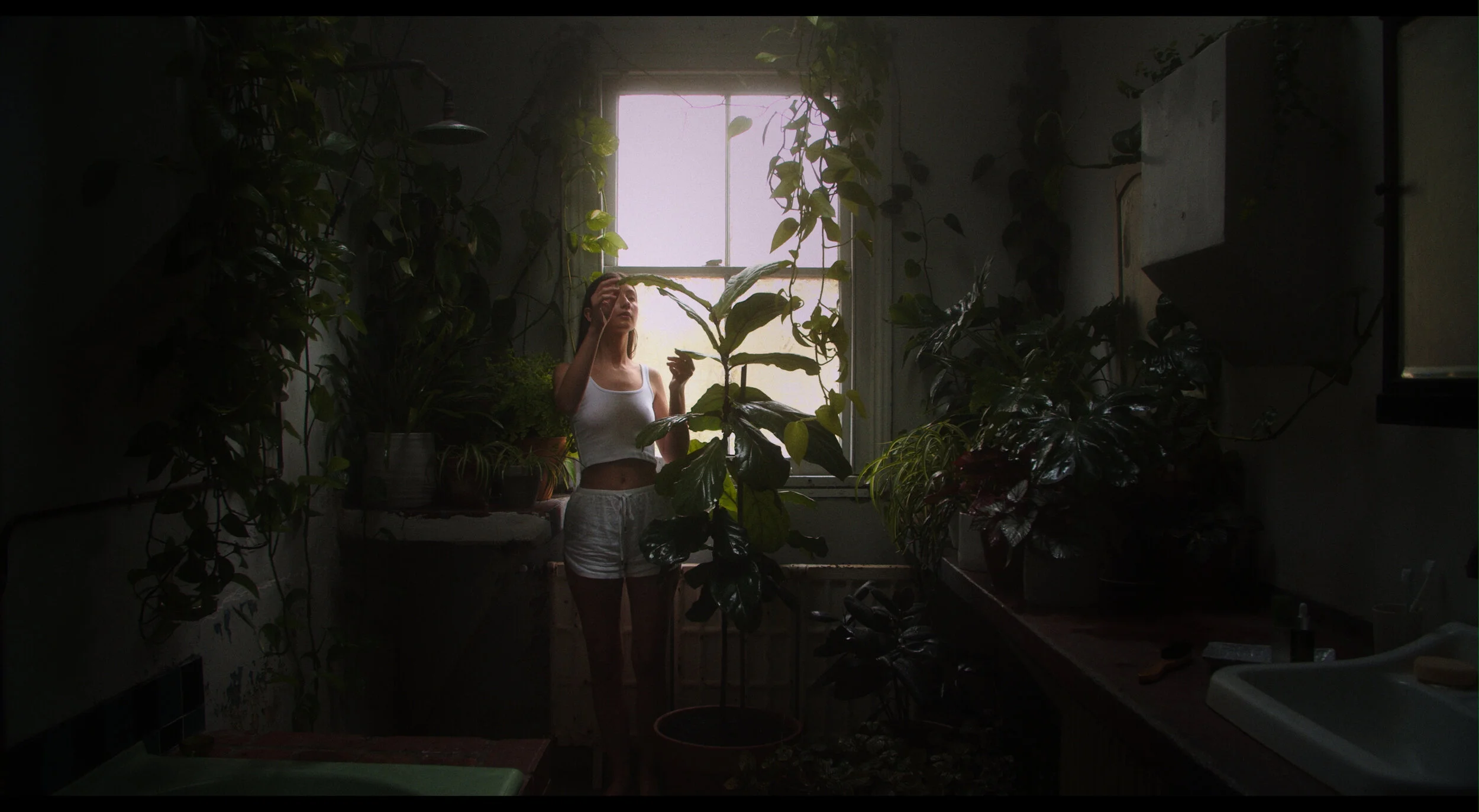 GREENVINES DC PRORES 422 HQ.mov.00_00_02_05.Still001.jpg