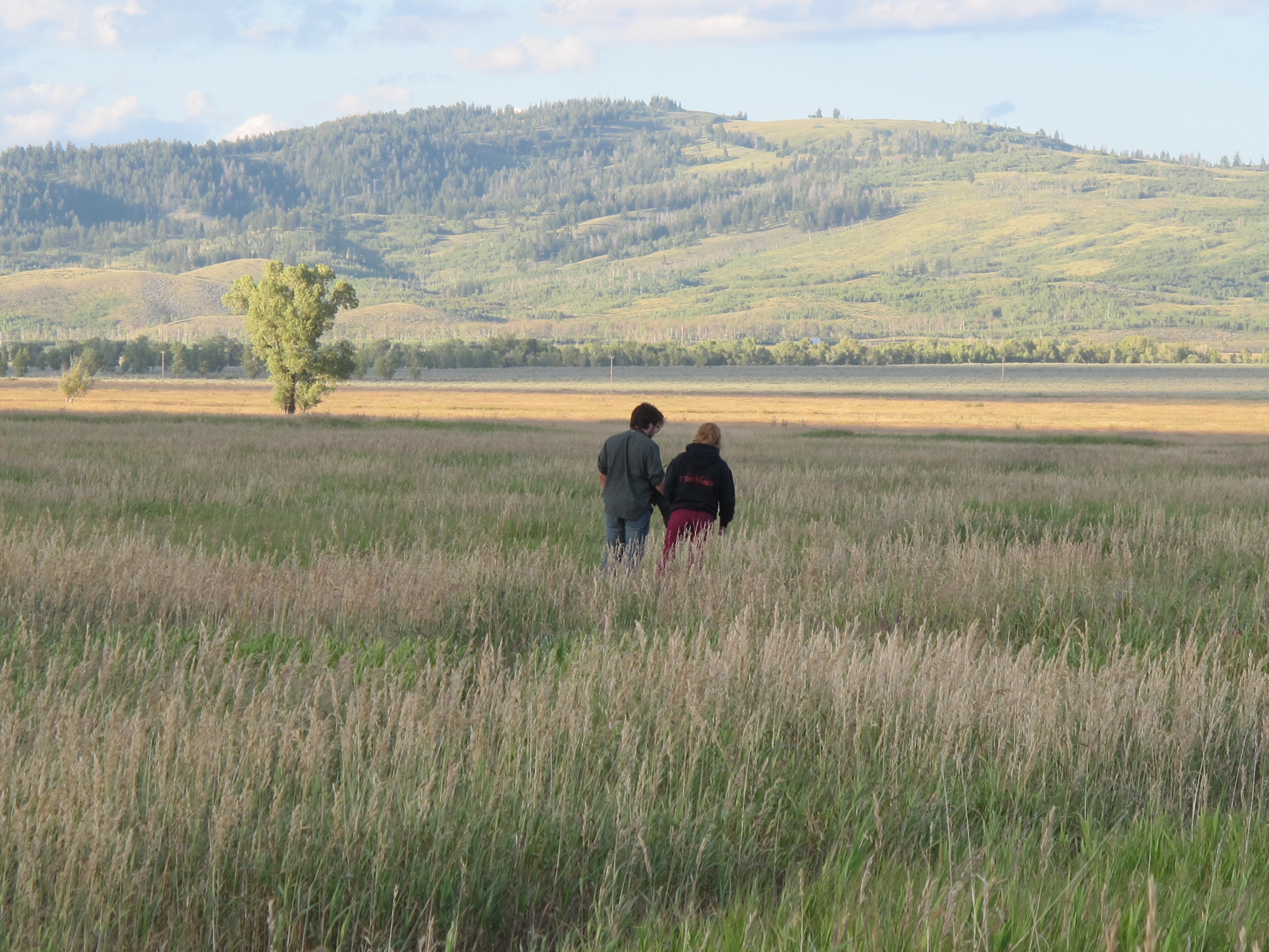 “To waste, to destroy our natural resources, to skin and exhaust the land instead of using it so as to increase its usefulness, will result in undermining in the days of our children the very prosperity which we ought by right to hand down to them amplified and developed.” ― Theodore Roosevelt