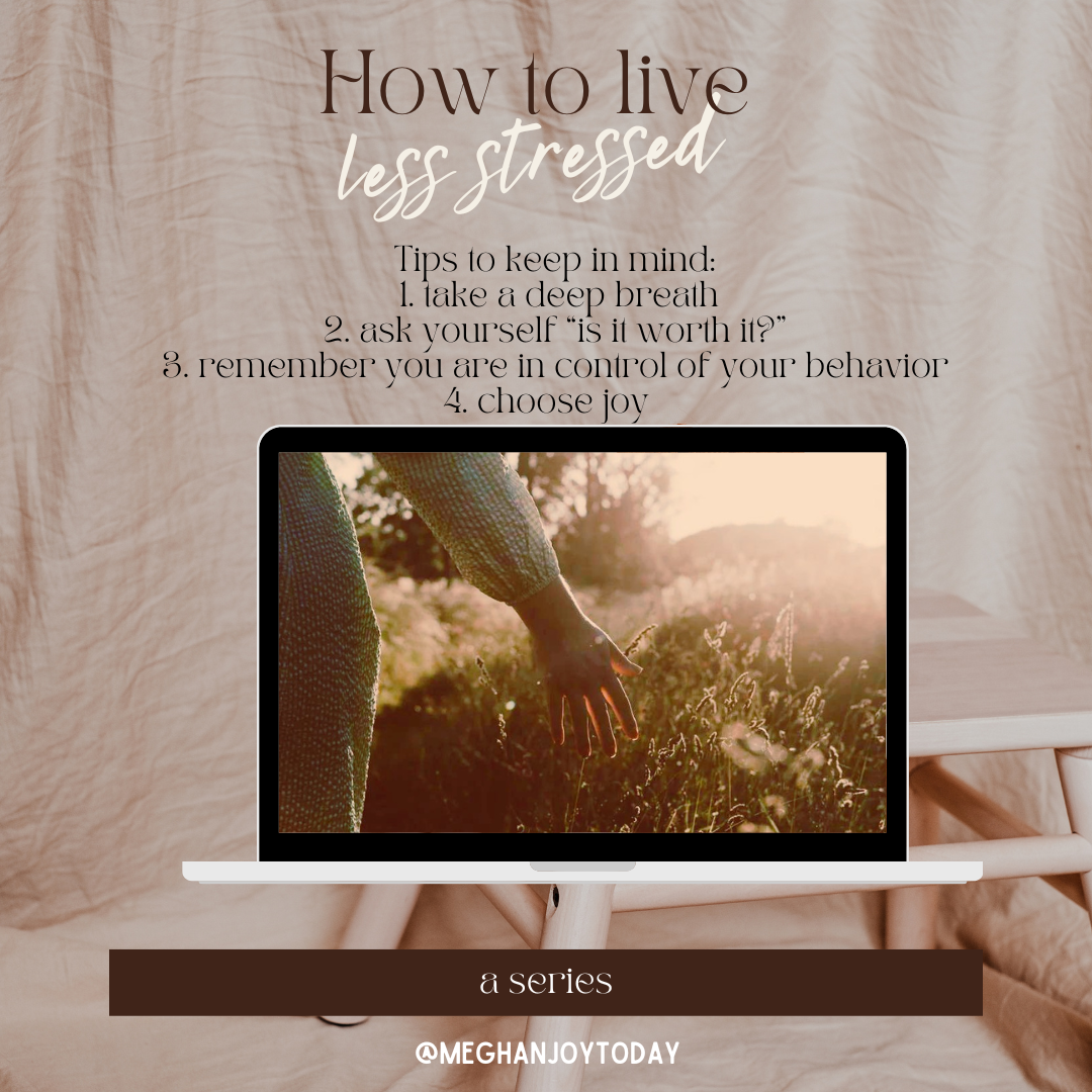 745C7F03-FF0E-485C-AC08-5F79790E7E56