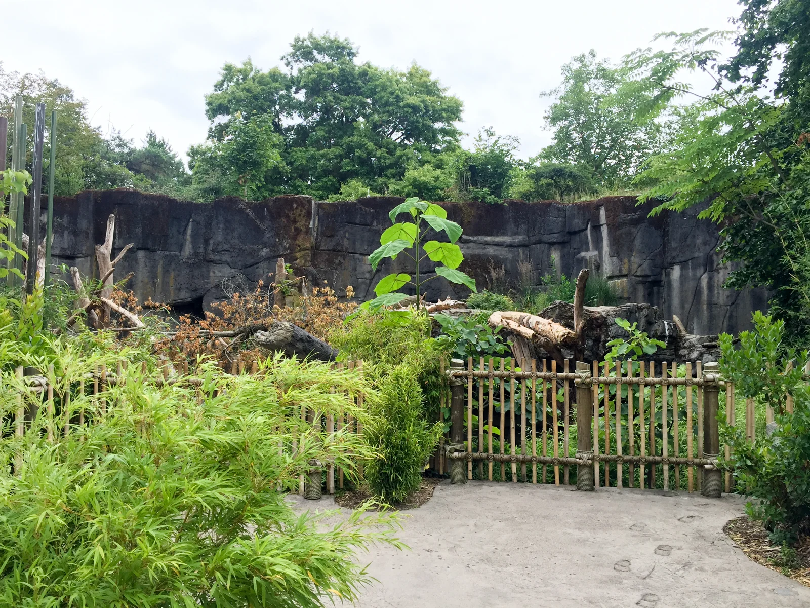 20160707-399.jpg