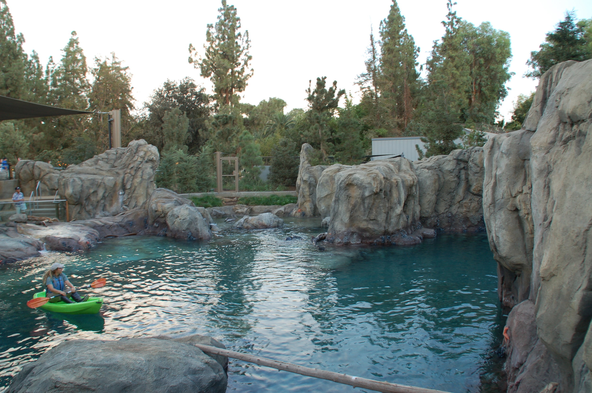 DSC_0041.JPG