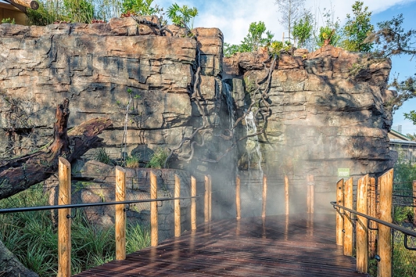 gorilla-exhibit-houston-zoo-march-2015-2.jpg