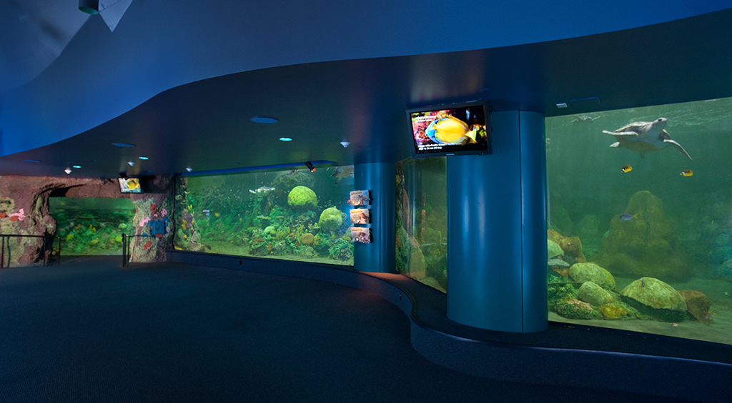 DCportslider_turtlereef8.jpg