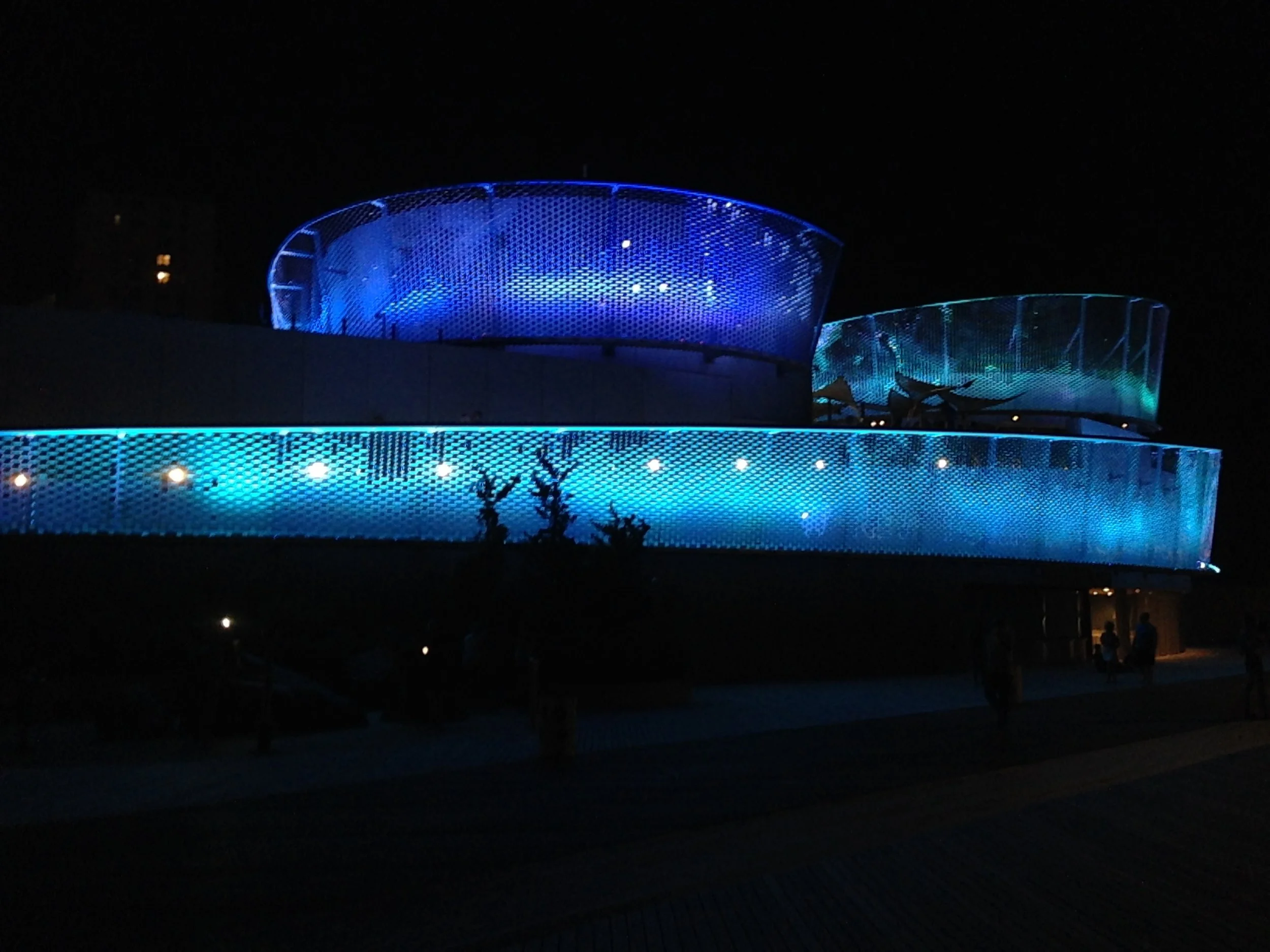 IMG_7487.JPG
