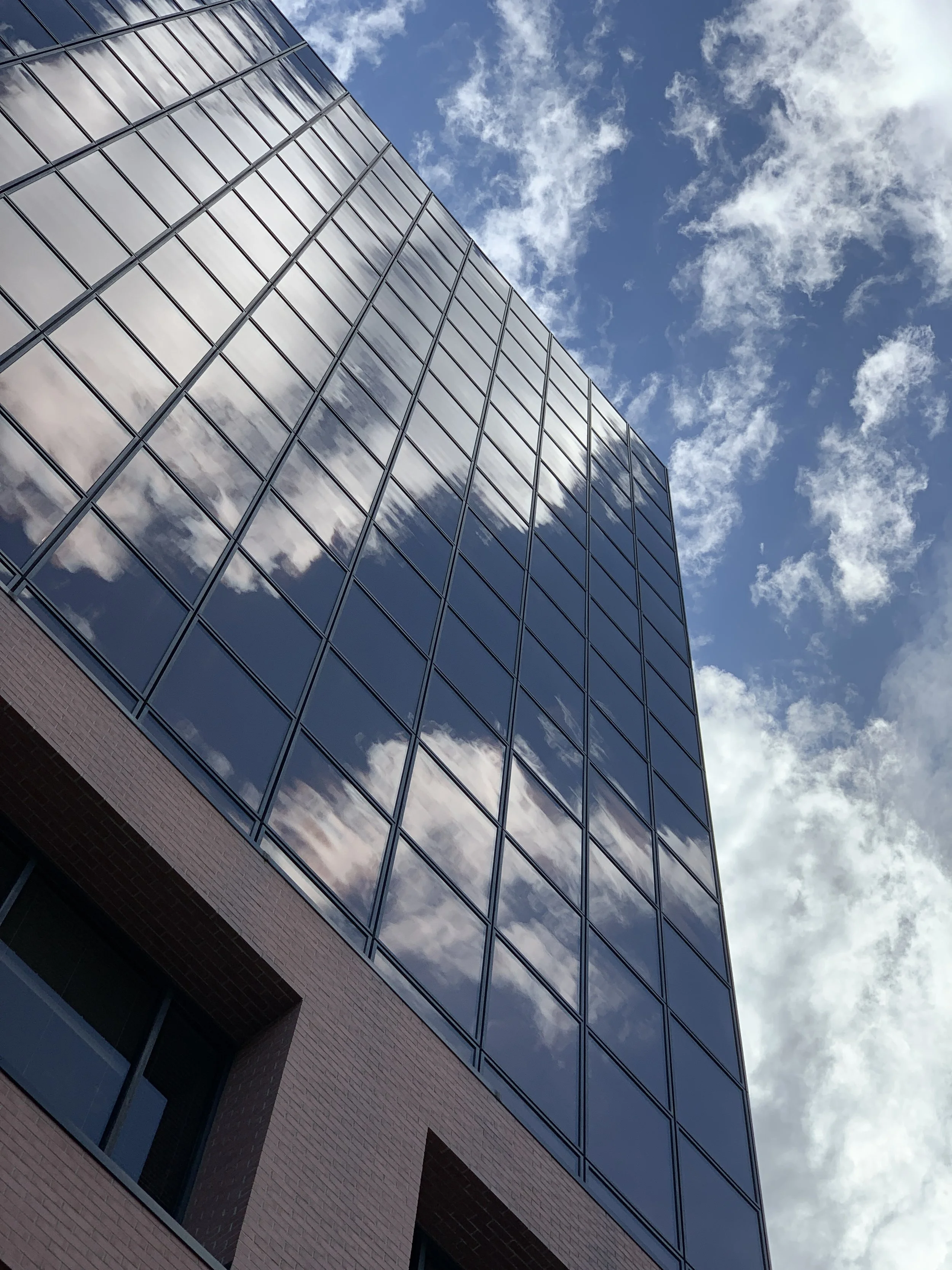 Reviewing Notre Dame Study on Mycore