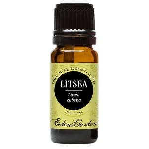 Edens Garden Litsea (also known as may chang)