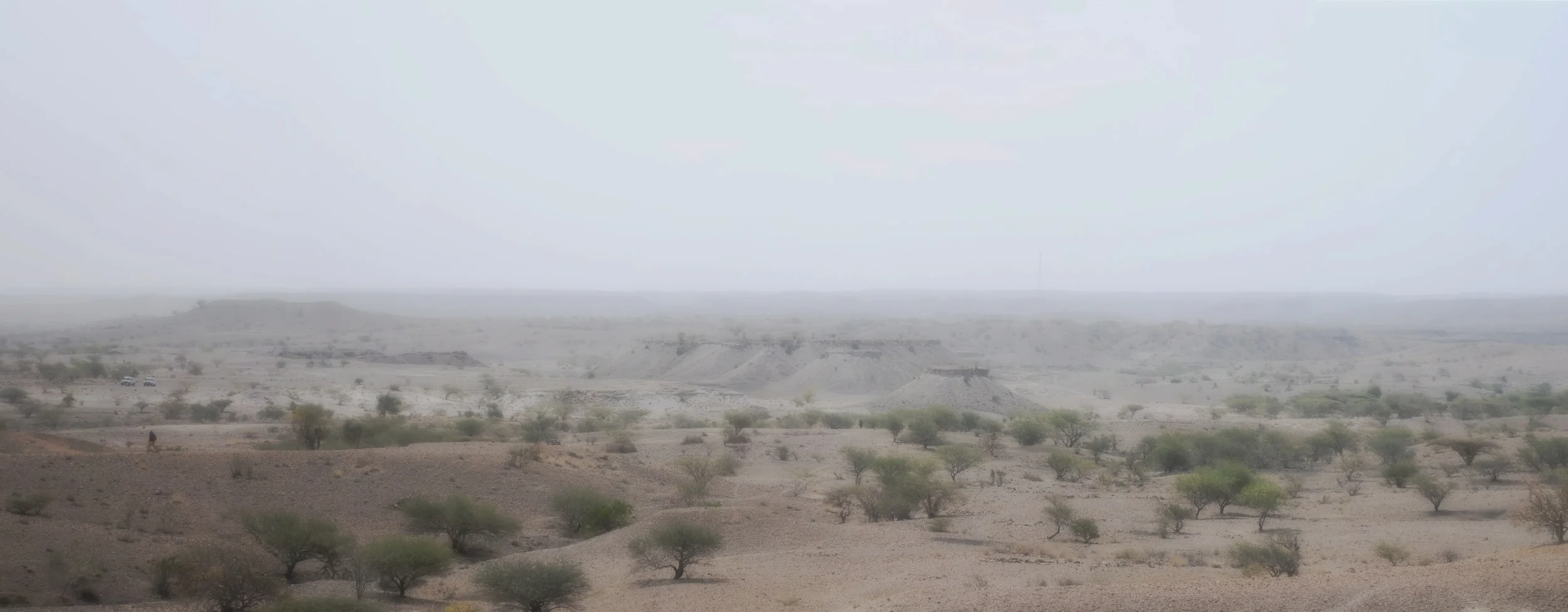 ARI_Panorama1.jpg