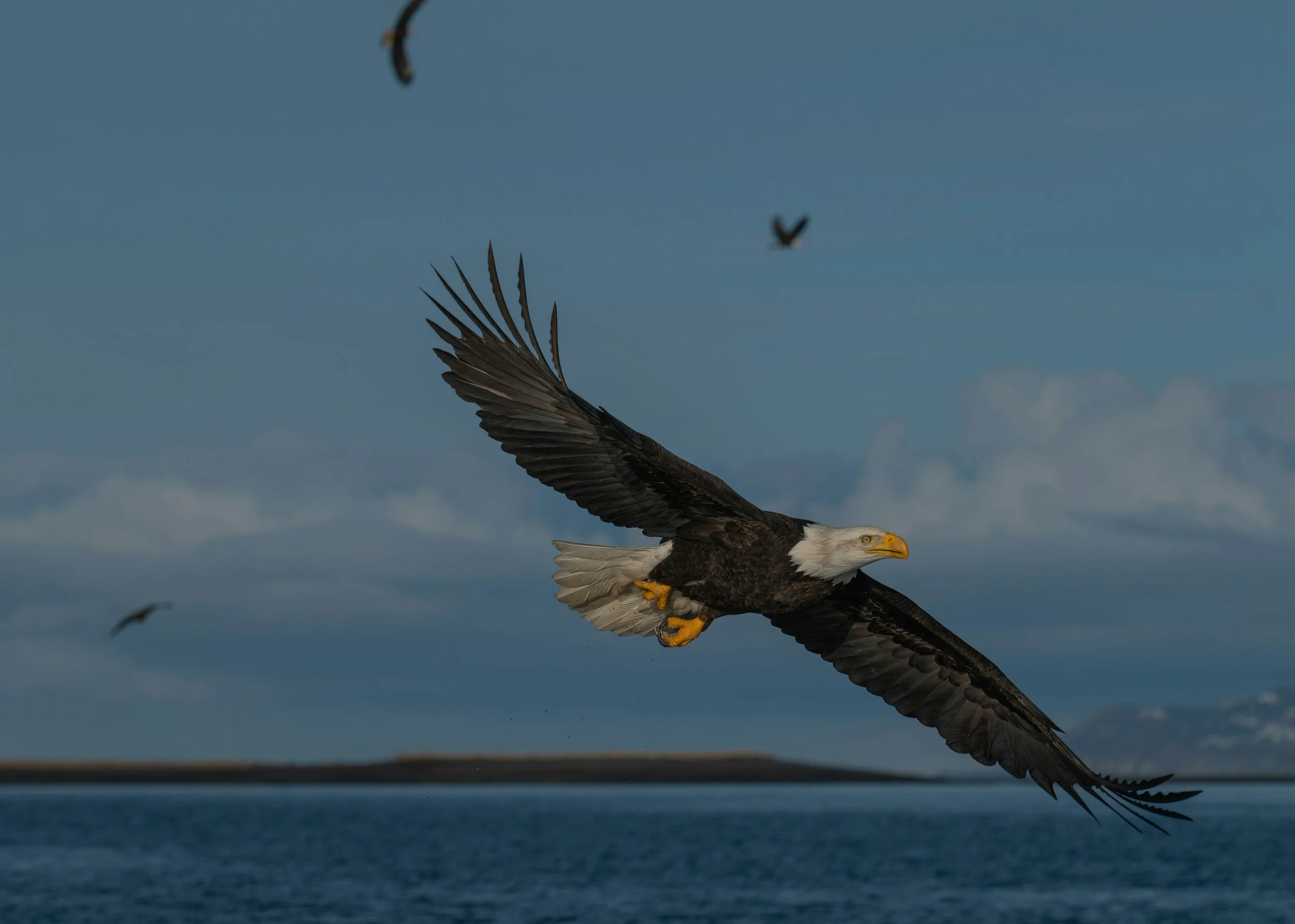 The Sovereignty of God:  The Anchor of All Theology