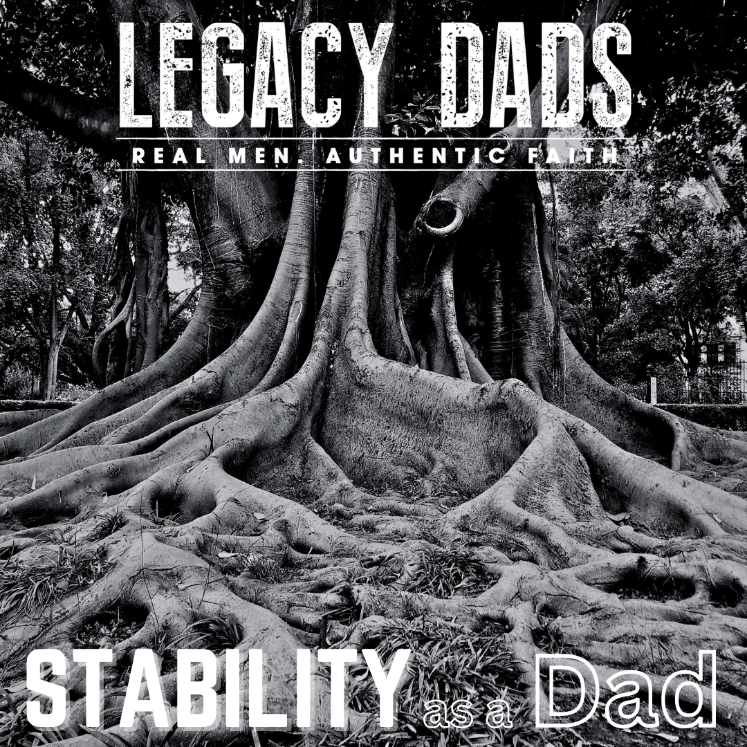 Dad Legacy Program Stability: Dad — Legacy Dads