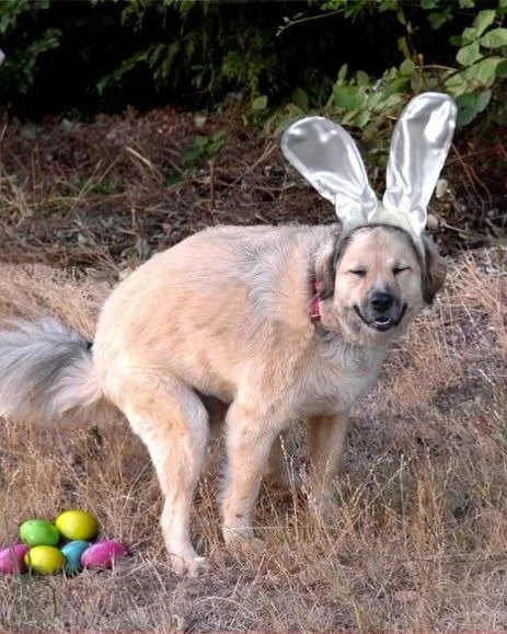 Happy Easter!