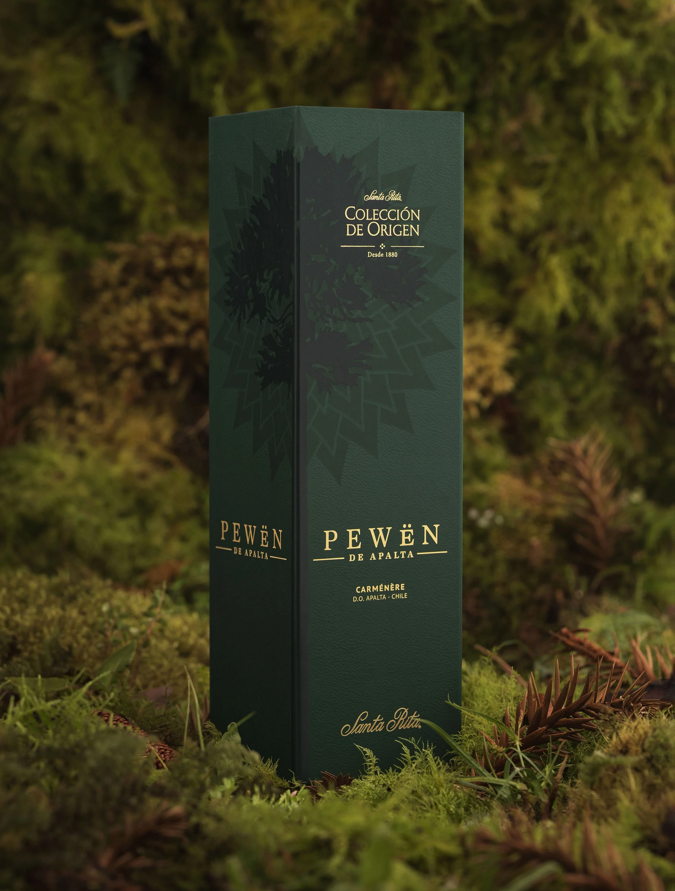 05-01-24_CDO_0029 copia.jpg