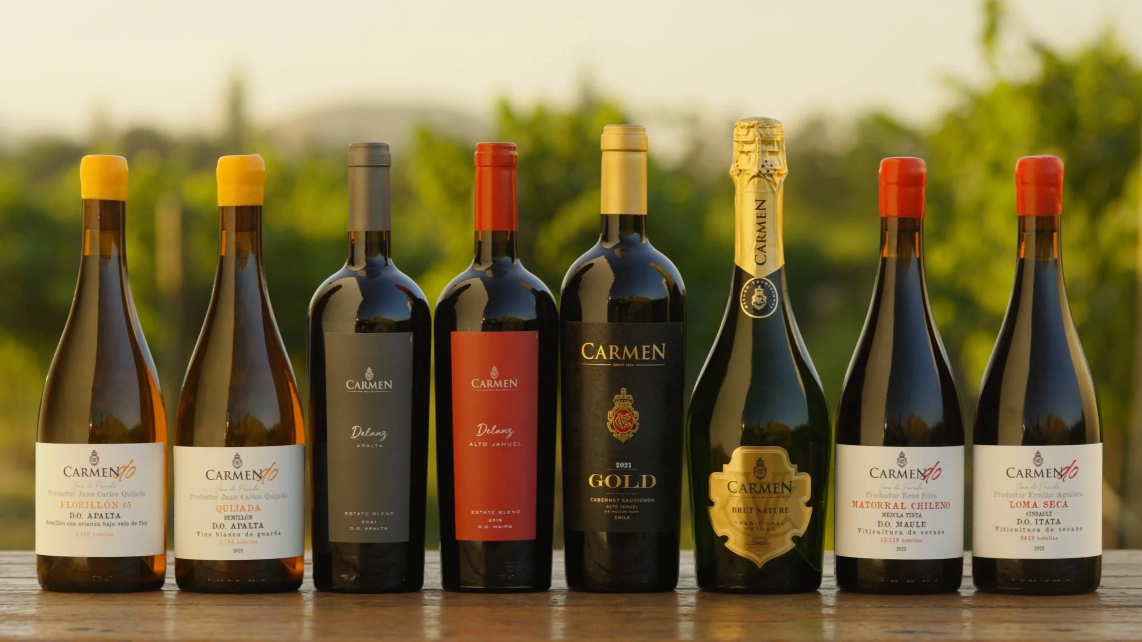 Carmen Legacy - Viña Carmen