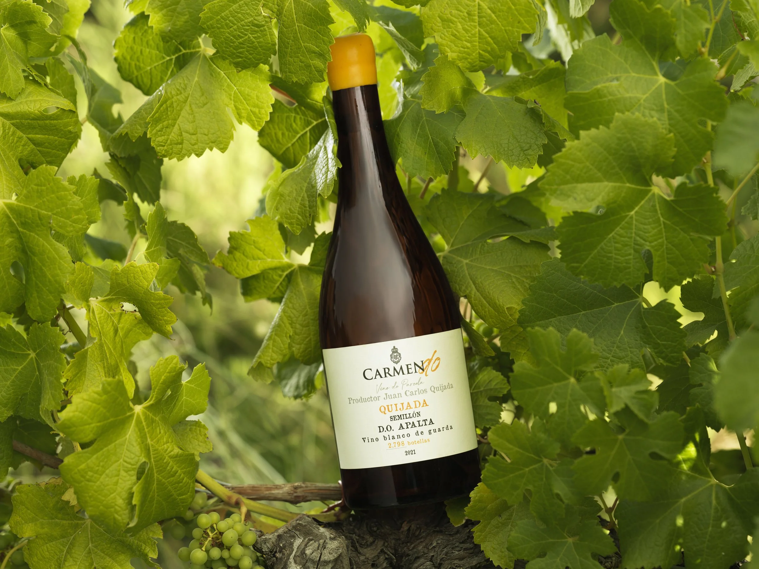 SRAPALTA_0726 copia.jpg