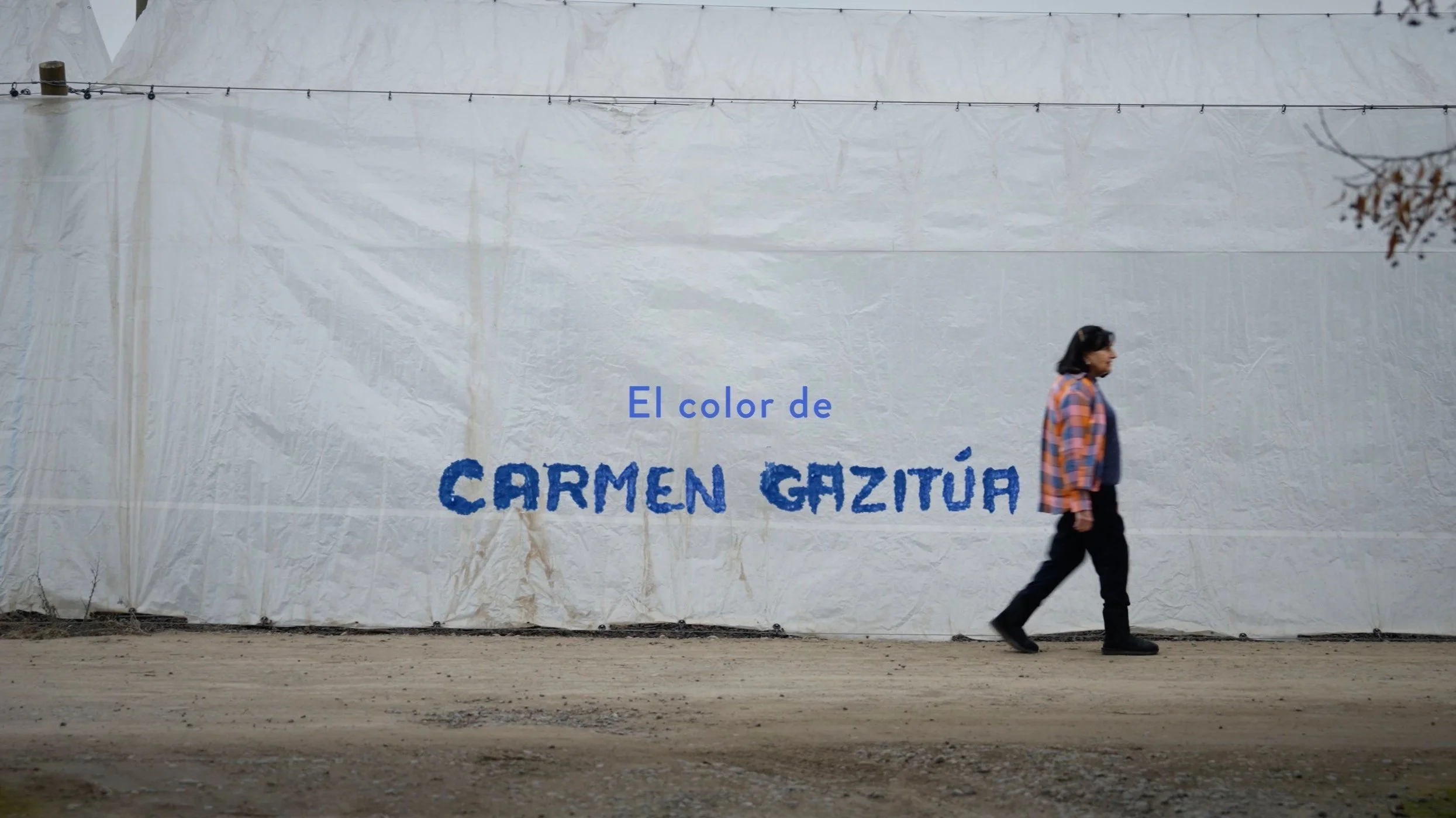 Sisa - El Color de Carmen Gazitúa