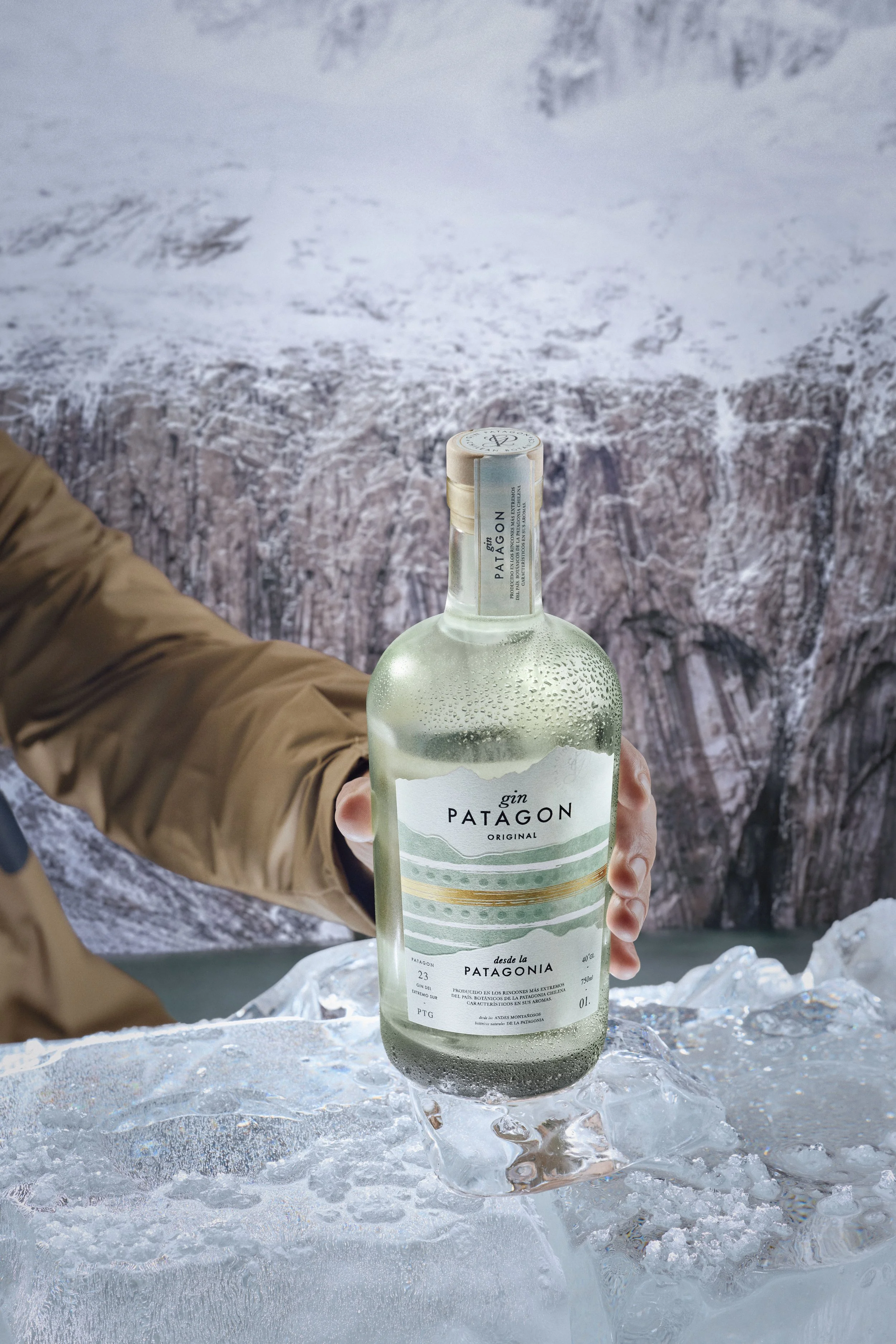 GIN PATAGON3964 copia.jpg